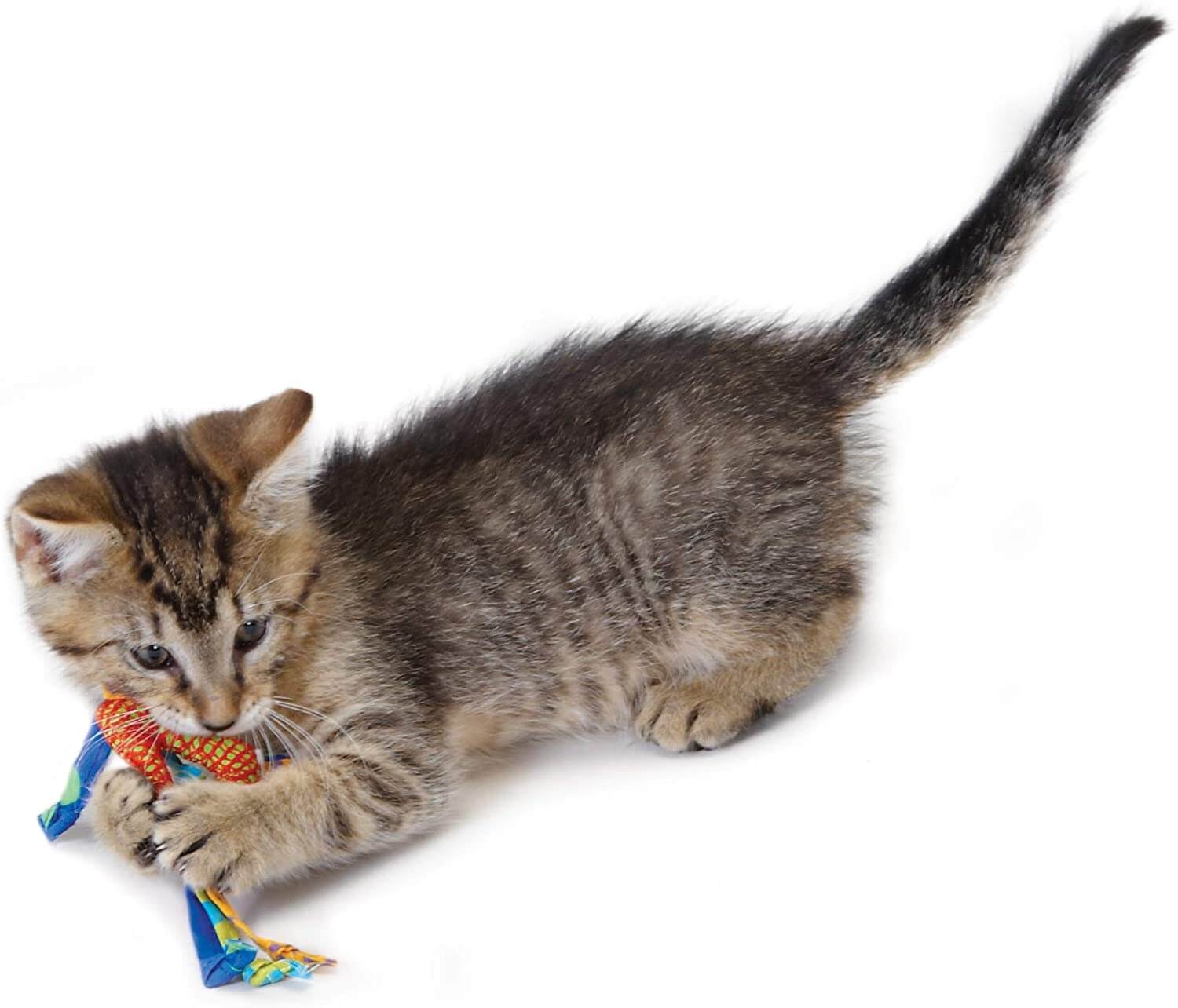 PETSTAGES CATNIP DENTAL HEALTH CHEW – іграшка для котів