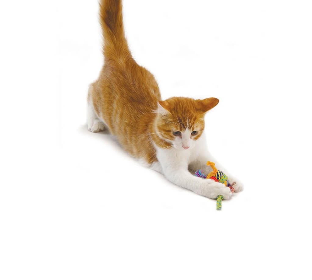 PETSTAGES CATNIP TONS OF TAILS – игрушка для кошек