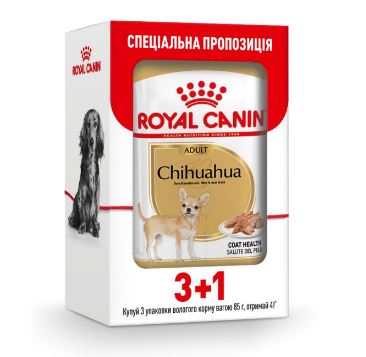 ROYAL CANIN CHIHUAHUA ADULT – влажный корм для взрослых собак породы чихуахуа