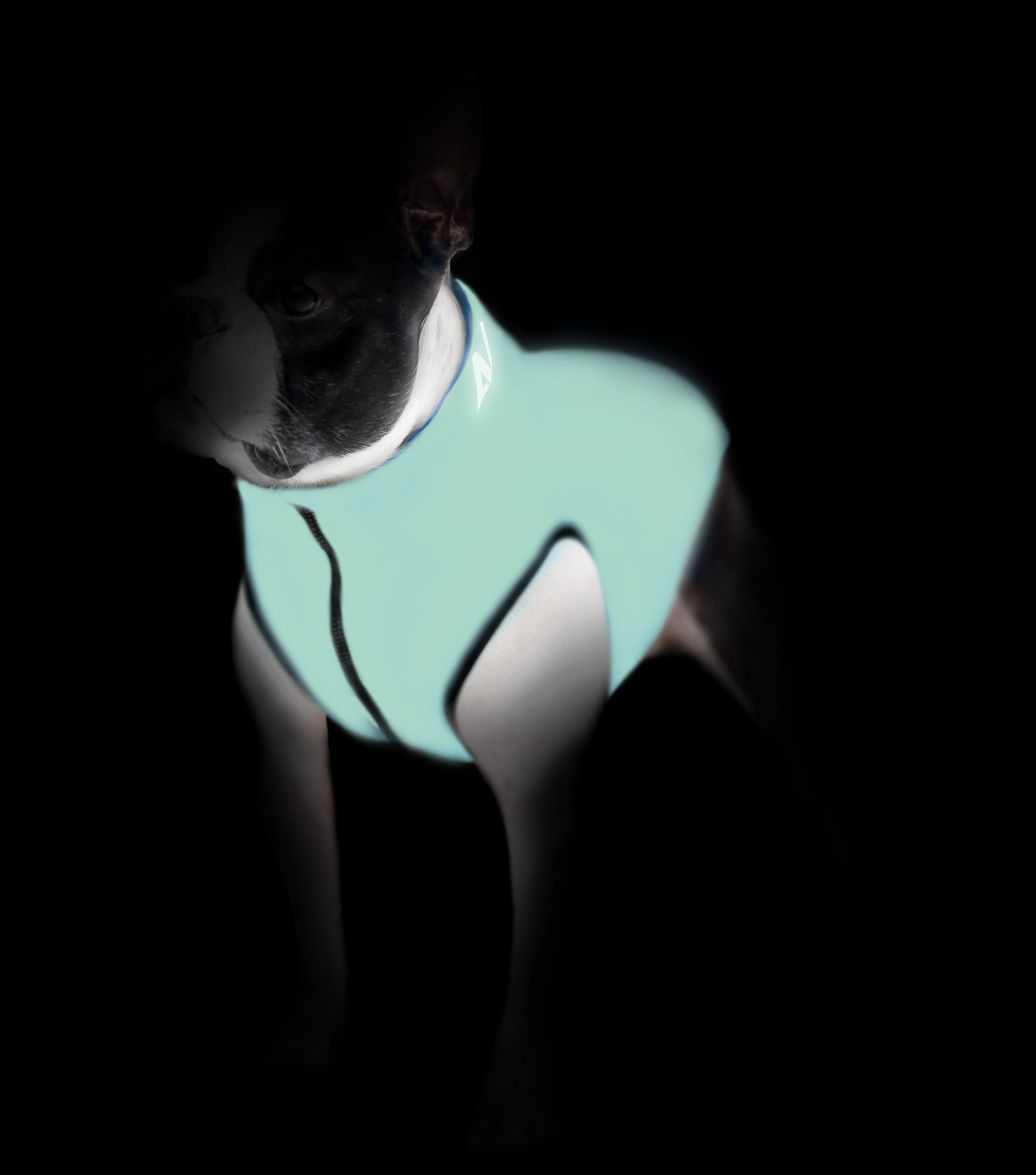 AiryVest Lumi куртка для собак, що світиться в темряві, М 40