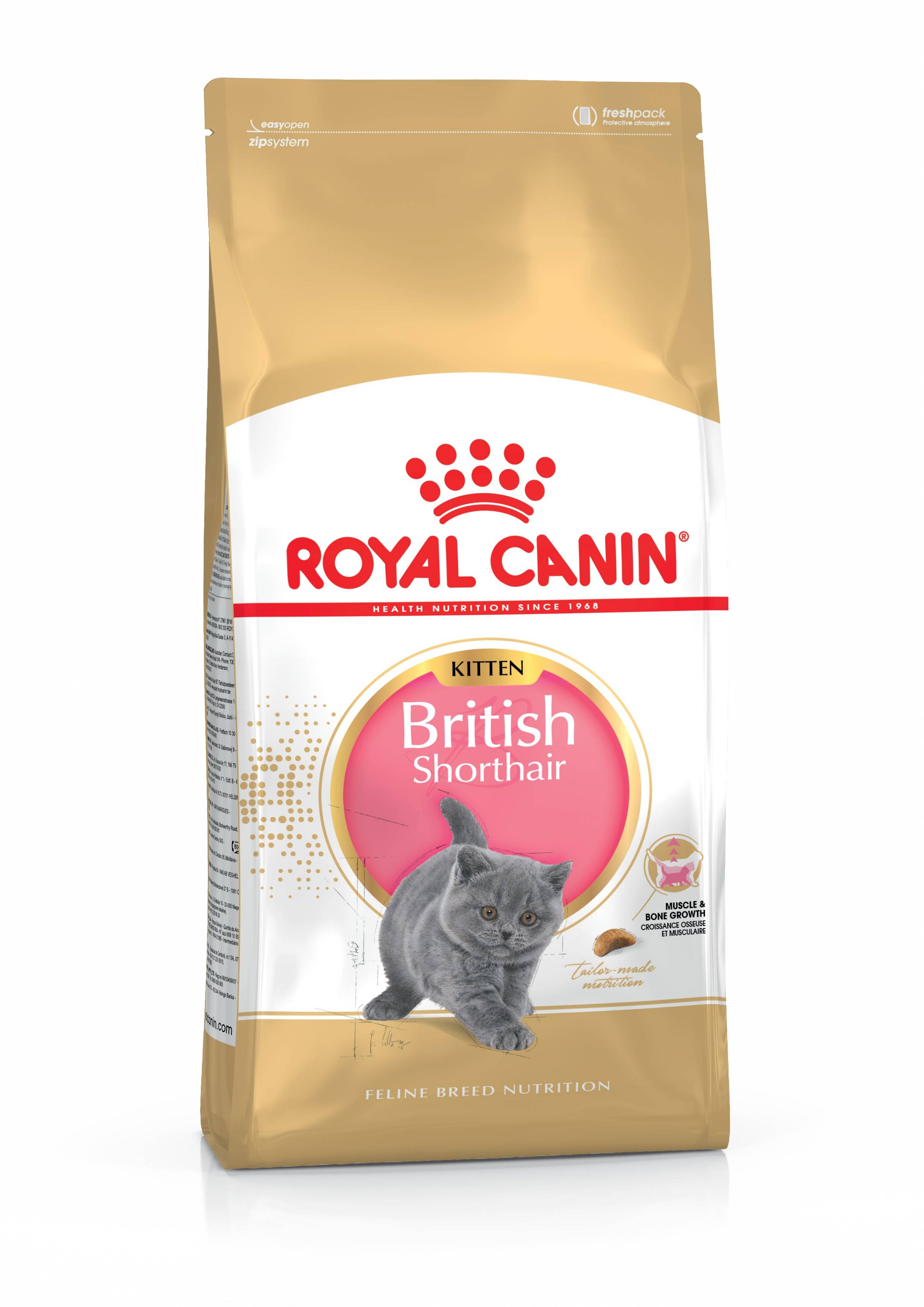 ROYAL CANIN BRITISH SHORTHAIR KITTEN – сухой корм для котят породы британская короткошерстная