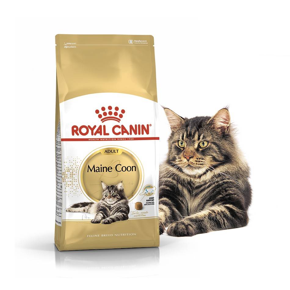 ROYAL CANIN MAINE COON ADULT – сухий корм для дорослих котів породи мейн-кун