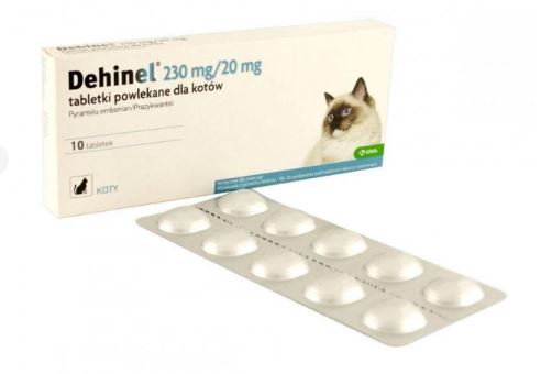 Дехінел -  антигельмінтний препаратів для котів