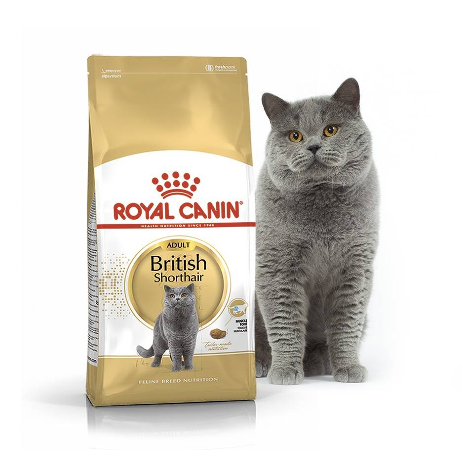 ROYAL CANIN BRITISH SHORTHAIR ADULT – сухой корм для взрослых котов породы британская короткошерстная