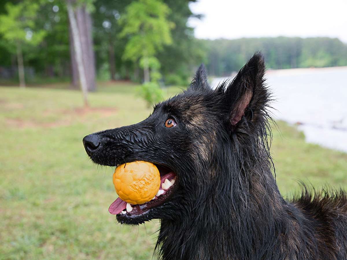 Boz Air Dog Ball L – мяч для собак