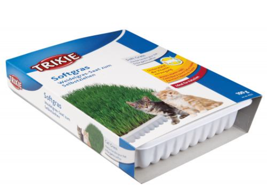 Trixie Soft Grass – насіння трави для котів та кошенят з контейнером