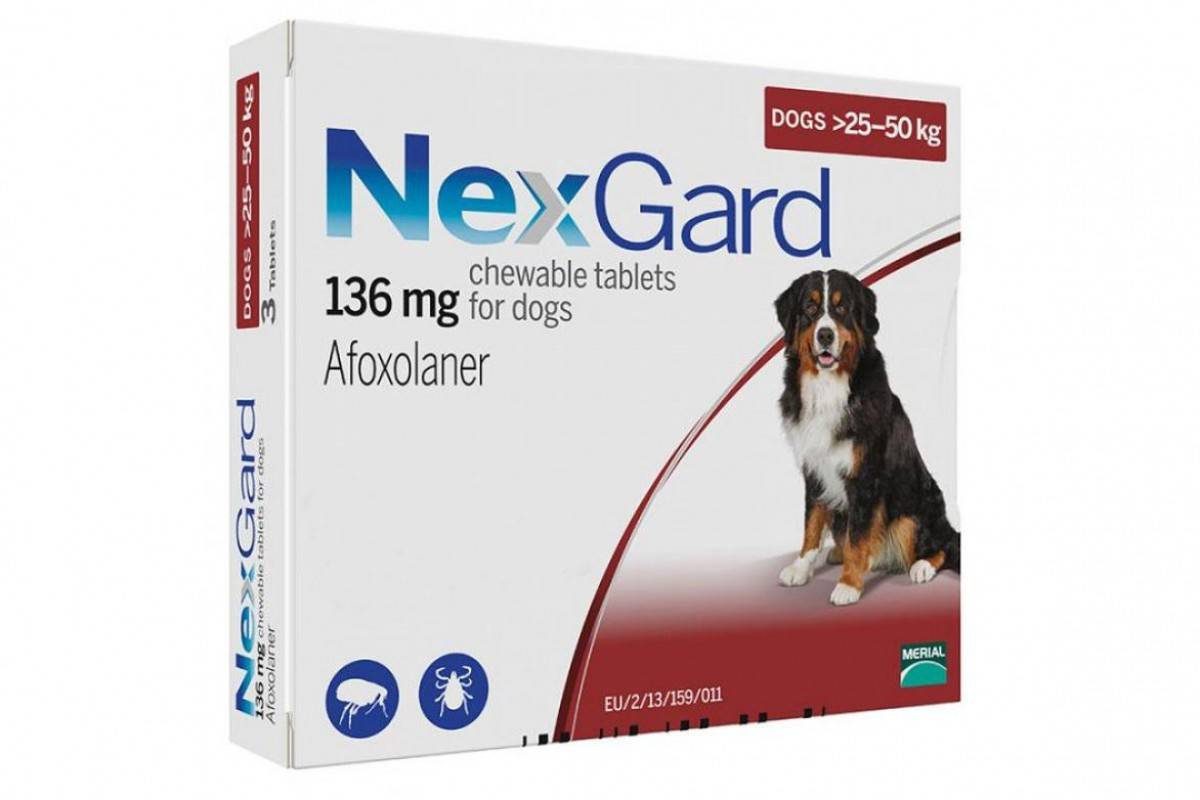 NEXGARD таблетки від бліх і кліщів для собак вагою від 25 кг до 50 кг