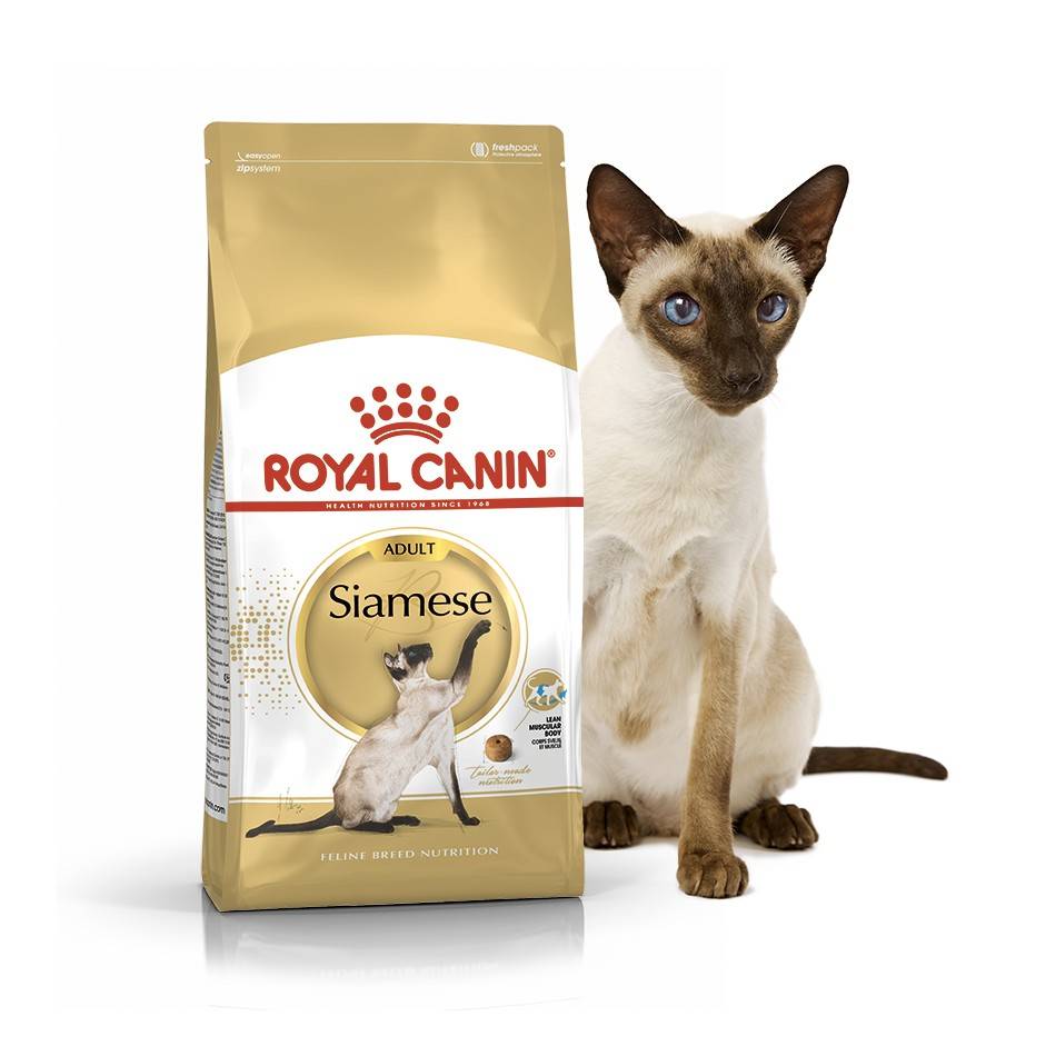 ROYAL CANIN SIAMESE ADULT – сухой корм для взрослых котов породы сиамская 