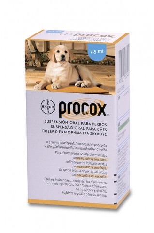 Procox – успензія для лікування і профілактики собак при зараженні ендопаразитами