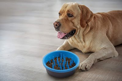 DEXAS SLOW FEEDER DOG BOWL– миска силиконовая для медленного кормления