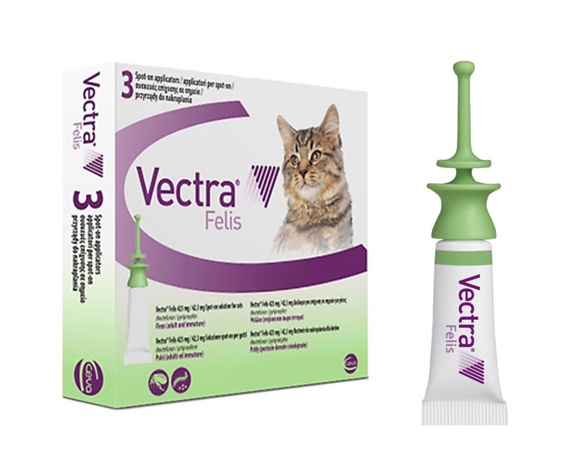 Vectra Felis – краплі від бліх та кліщів для котів