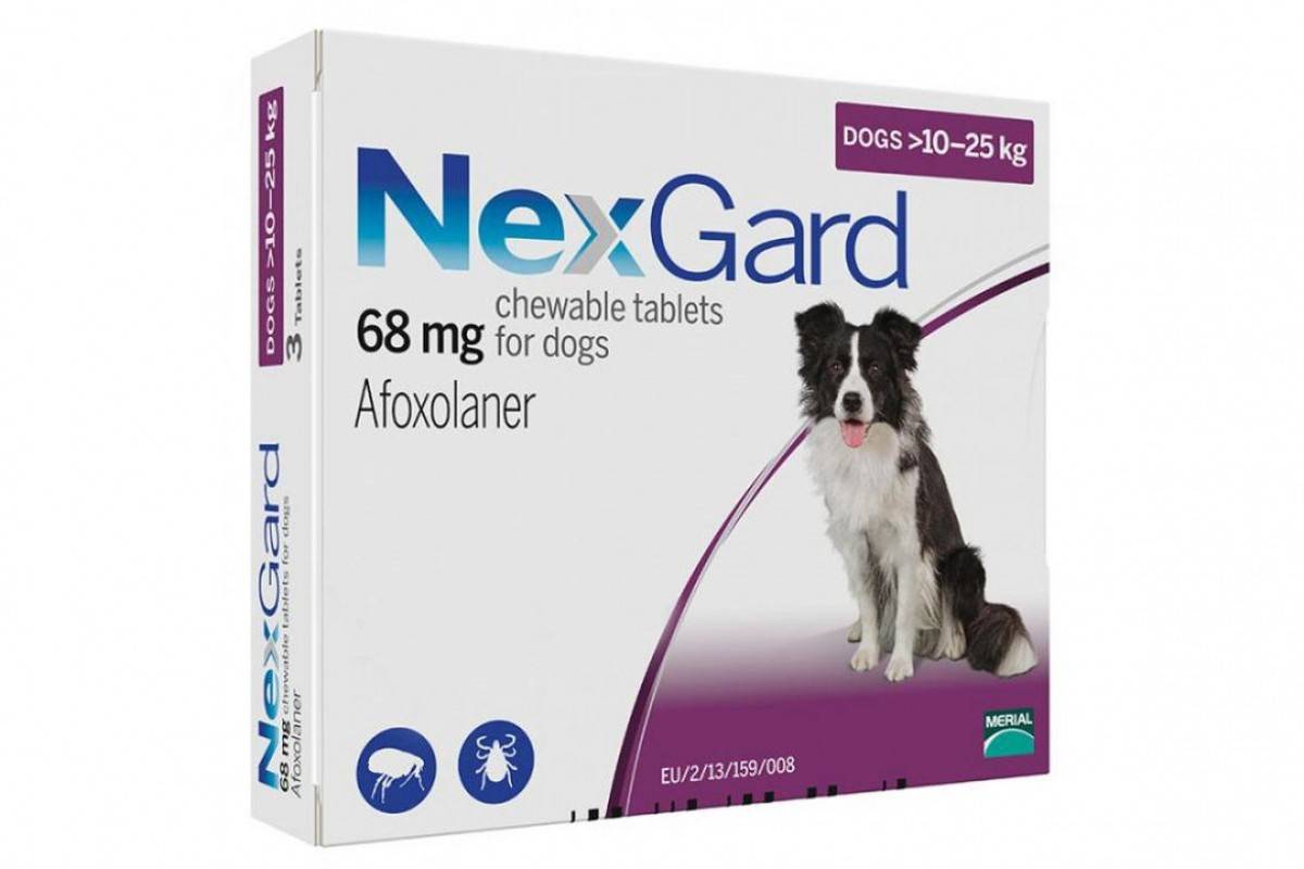 NEXGARD таблетки от блох и клещей для собак весом от 10 кг до 25 кг