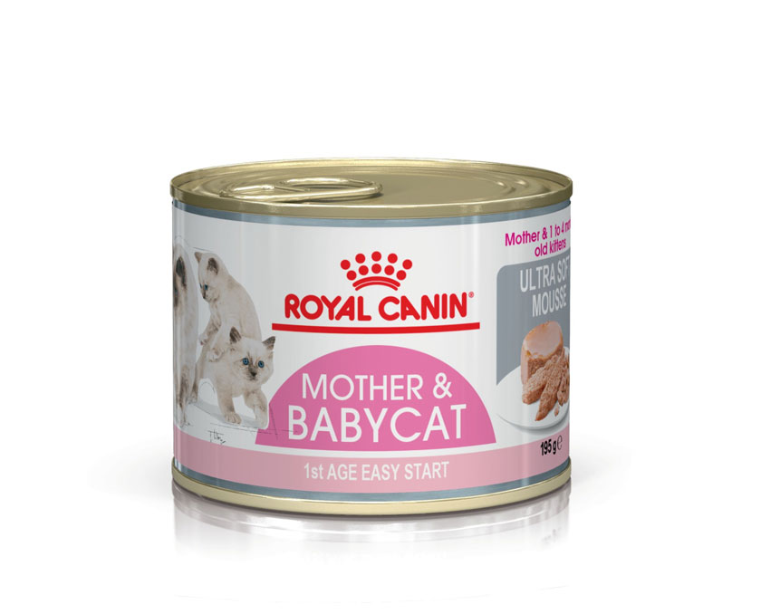 ROYAL CANIN MOTHER & BABYCAT MOUSSE – консервы для котят возрастом до 4 месяцев