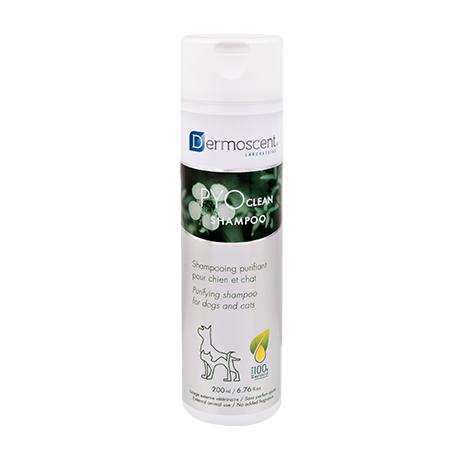 Dermoscent PYOclean Shampoo – очищающий шампунь при шкірних захворюваннях у собак і кішок