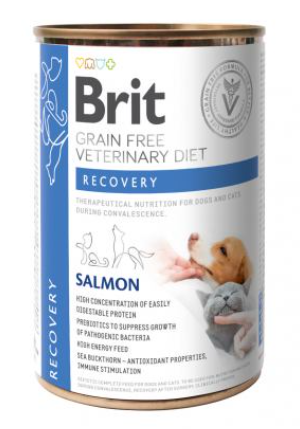 Brit VetDiets Recovery – вологий корм для собак та котів з лососем в період одужання