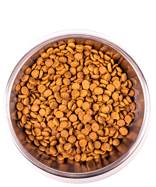 MONGE KITTEN – сухий корм для кошенят, вагітних і годуючих кішок