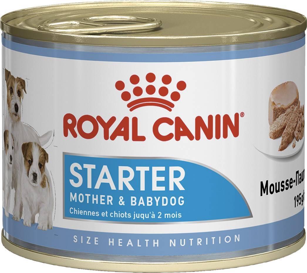 ROYAL CANIN STARTER MOTHER & BABYDOG MOUSSE STARTER MOUSSE 
