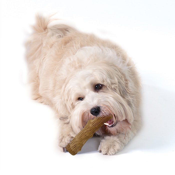PETSTAGES DOGWOOD STICK – іграшка для собак