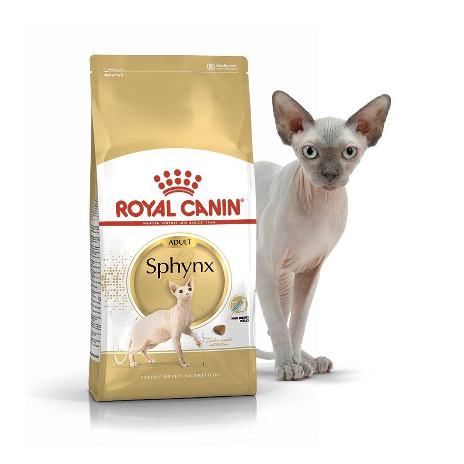 ROYAL CANIN SPHYNX ADULT – сухой корм для взрослых котов породы сфинкс