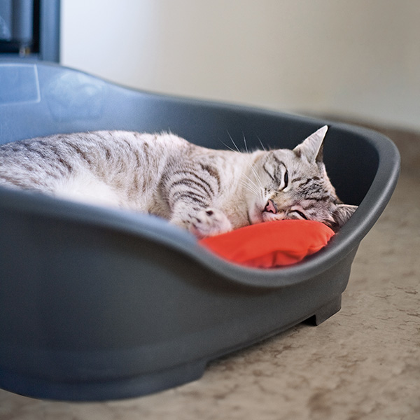 Stefanplast Sleeper 4 – лежак для котів і собак, 88×62×36 см 