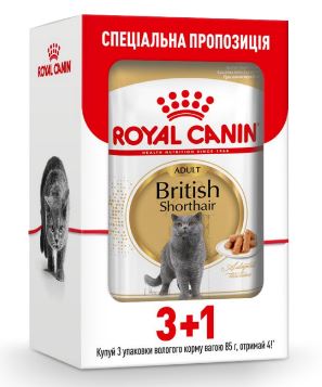 ROYAL CANIN BRITISH SHORTHAIR ADULT – влажный корм для взрослых котов породы британская короткошерстная