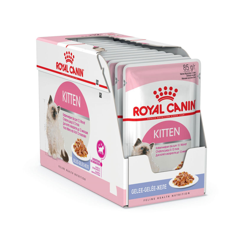 ROYAL CANIN KITTEN wet in jelly – влажный корм для котят