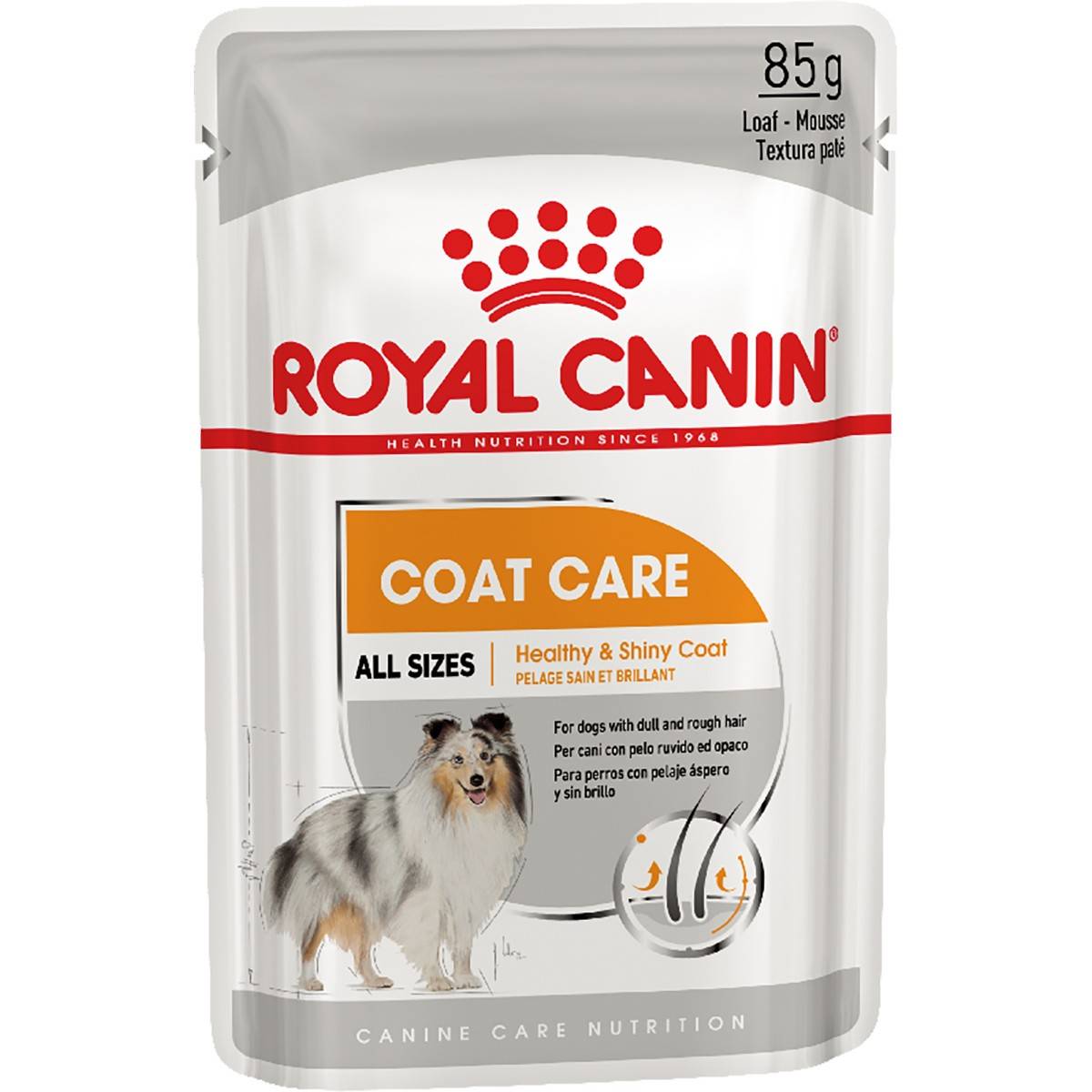 ROYAL CANIN COAT CARE – влажный корм для собак с тусклой и жесткой шерстью