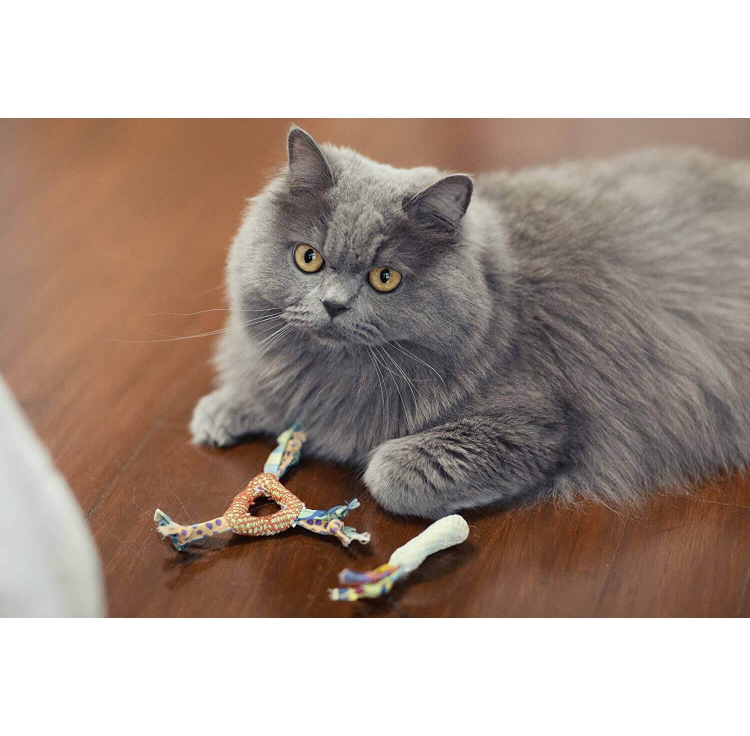 PETSTAGES CATNIP DENTAL HEALTH CHEW – игрушка для кошек