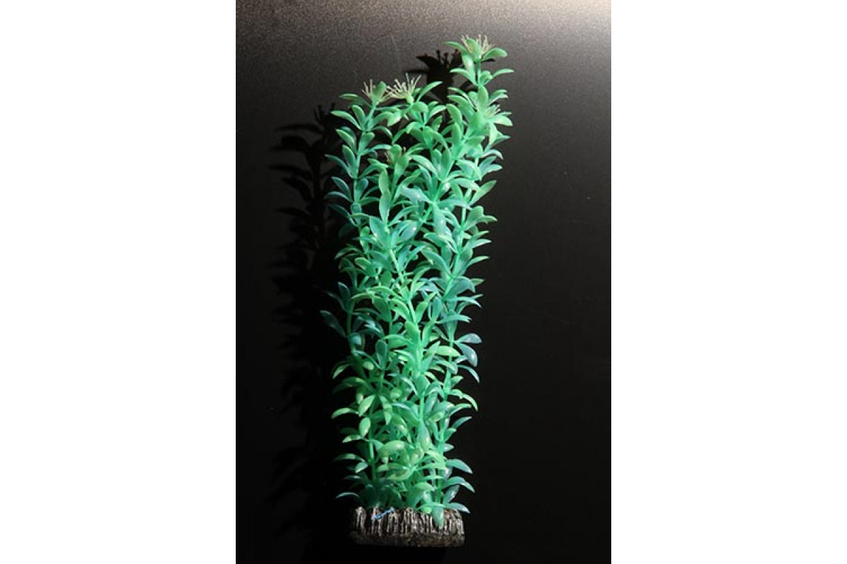 Aquatic Plants аквариумное растение флуоресцентное